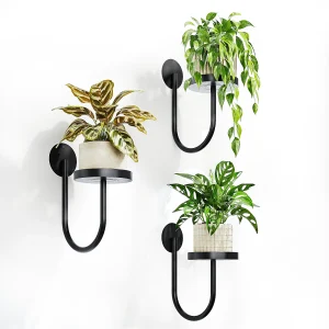 Black Wall Plant  Plant Hanger
